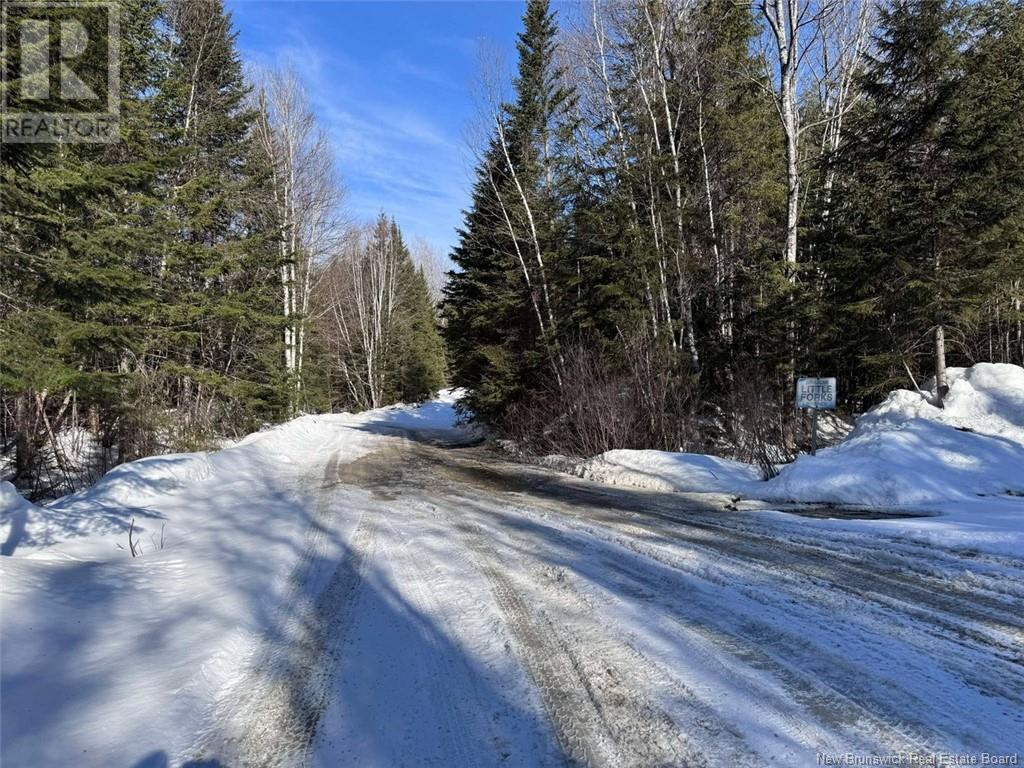 Camp Little Fork Branch Road, Rivière-Verte, New Brunswick  E7B 2Y7 - Photo 5 - NB116081