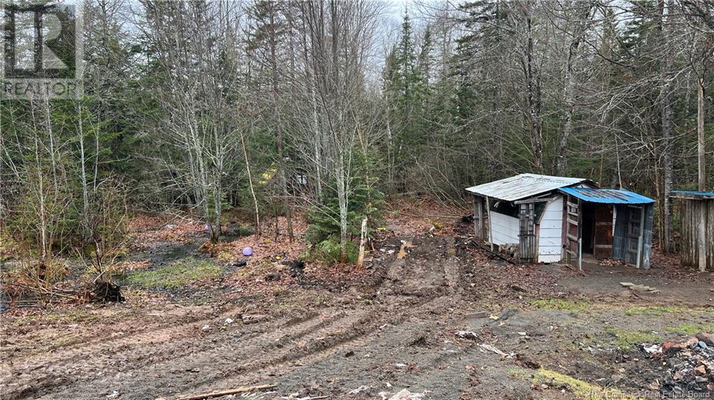 1047 Pine Glen Road, Pine Glen, New Brunswick  E1J 1R3 - Photo 32 - NB116210
