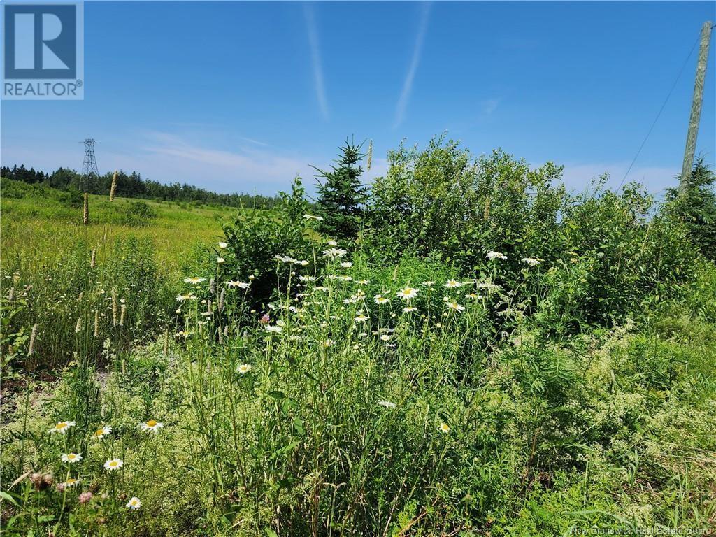 N/a Will Rogers Road, Lutes Mountain, New Brunswick  E1G 2X7 - Photo 3 - NB116145