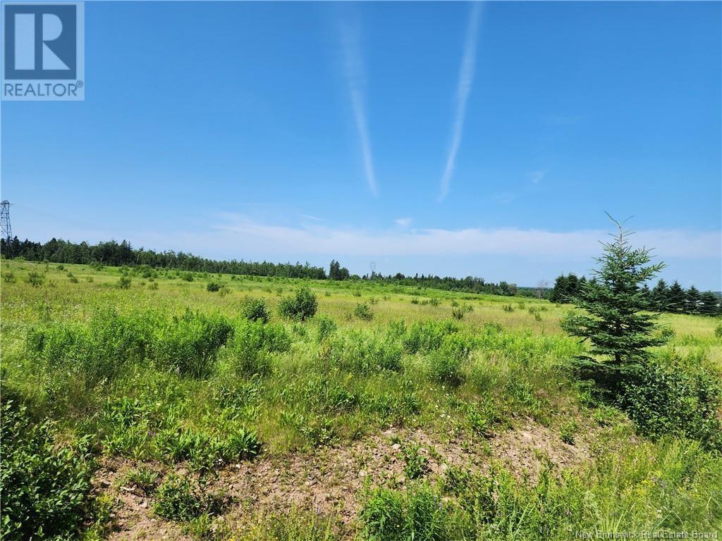 N/a Will Rogers Road, Lutes Mountain, New Brunswick  E1G 2X7 - Photo 5 - NB116145