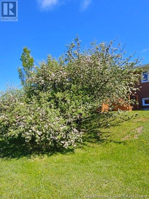 15 Joachim Lane, Le Goulet, New Brunswick  E8S 2B7 - Photo 5 - NB116298