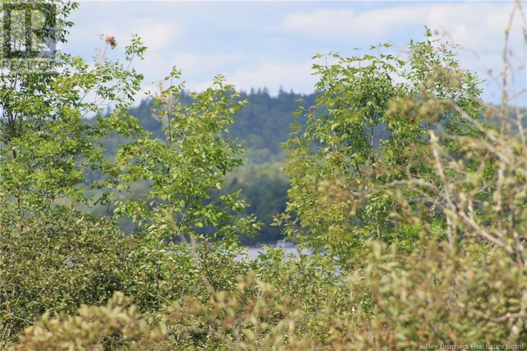 Lot Route 845, Kingston, New Brunswick  E5N 1E7 - Photo 16 - NB116346