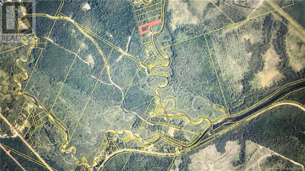 0 North Branch Road, Juniper, New Brunswick  E7L 0E9 - Photo 3 - NB116269