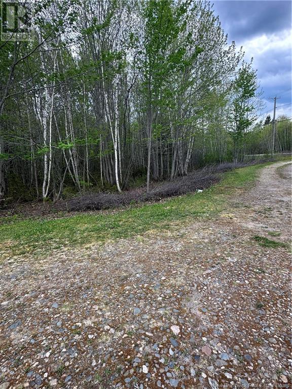 3420 Route 108, Quarryville, New Brunswick  E9E 2E6 - Photo 4 - NB116439