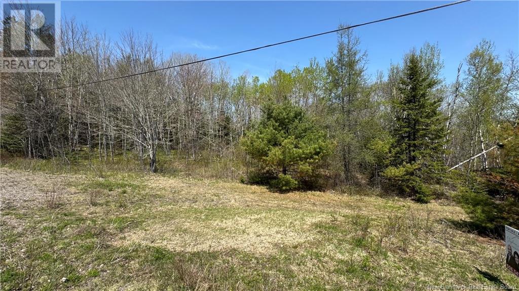 Na Highway 101, Clarendon, New Brunswick  E5K 4E1 - Photo 10 - NB114897