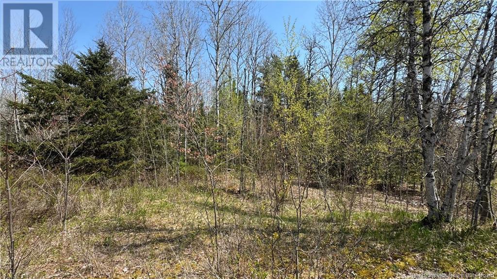 Na Highway 101, Clarendon, New Brunswick  E5K 4E1 - Photo 3 - NB114897