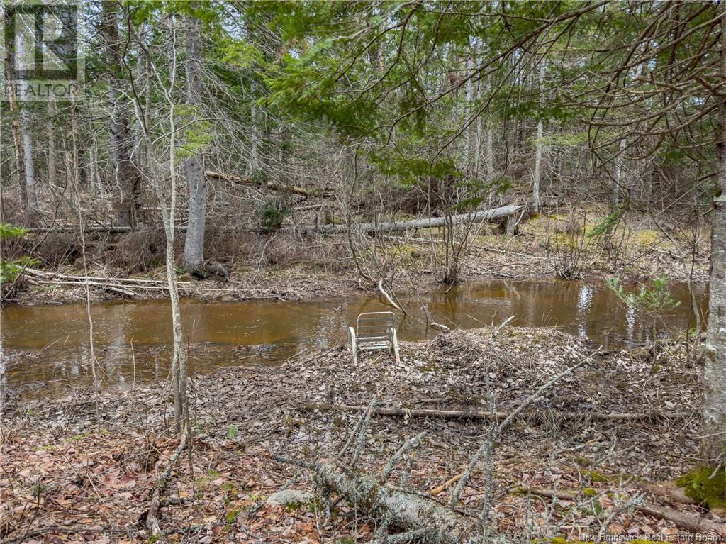 8 Balsam Drive, Rusagonis, New Brunswick  E3B 8G9 - Photo 27 - NB116409