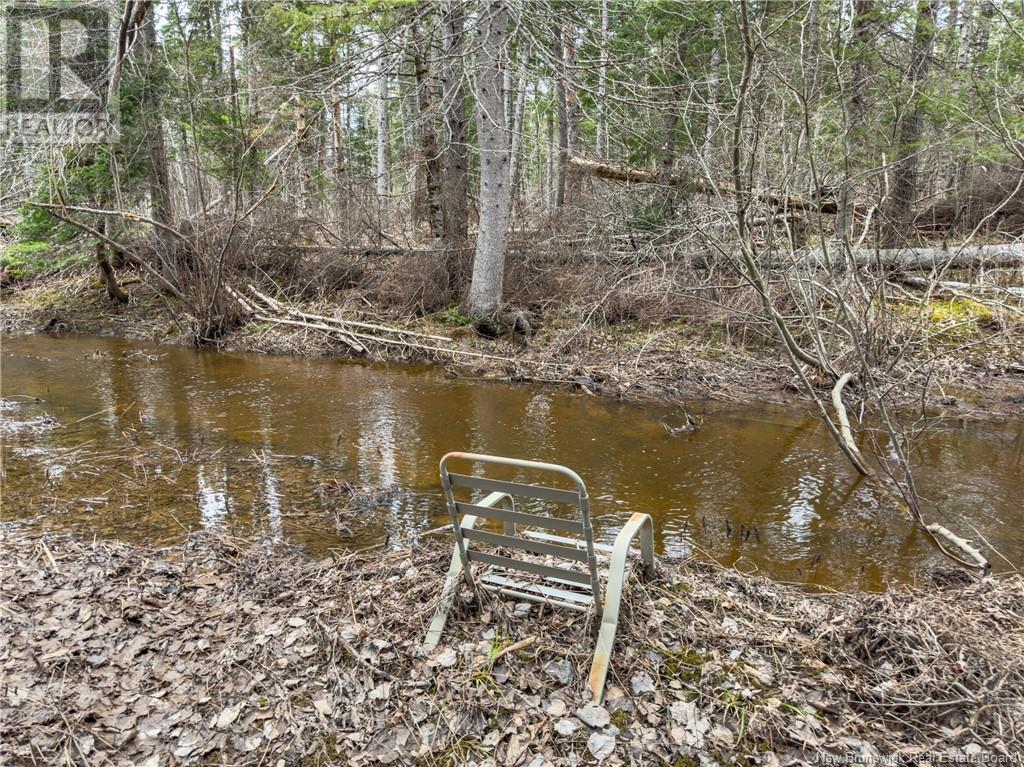 8 Balsam Drive, Rusagonis, New Brunswick  E3B 8G9 - Photo 29 - NB116409