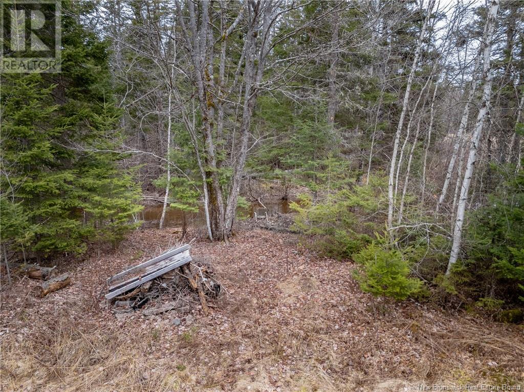8 Balsam Drive, Rusagonis, New Brunswick  E3B 8G9 - Photo 31 - NB116409