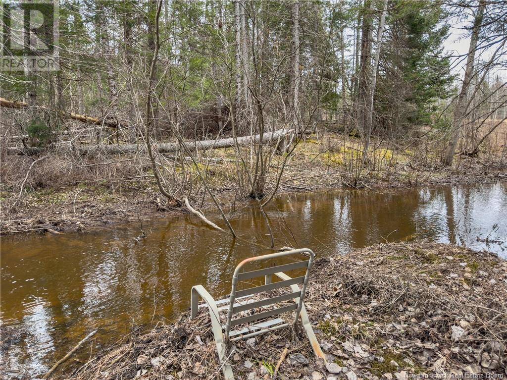8 Balsam Drive, Rusagonis, New Brunswick  E3B 8G9 - Photo 5 - NB116409