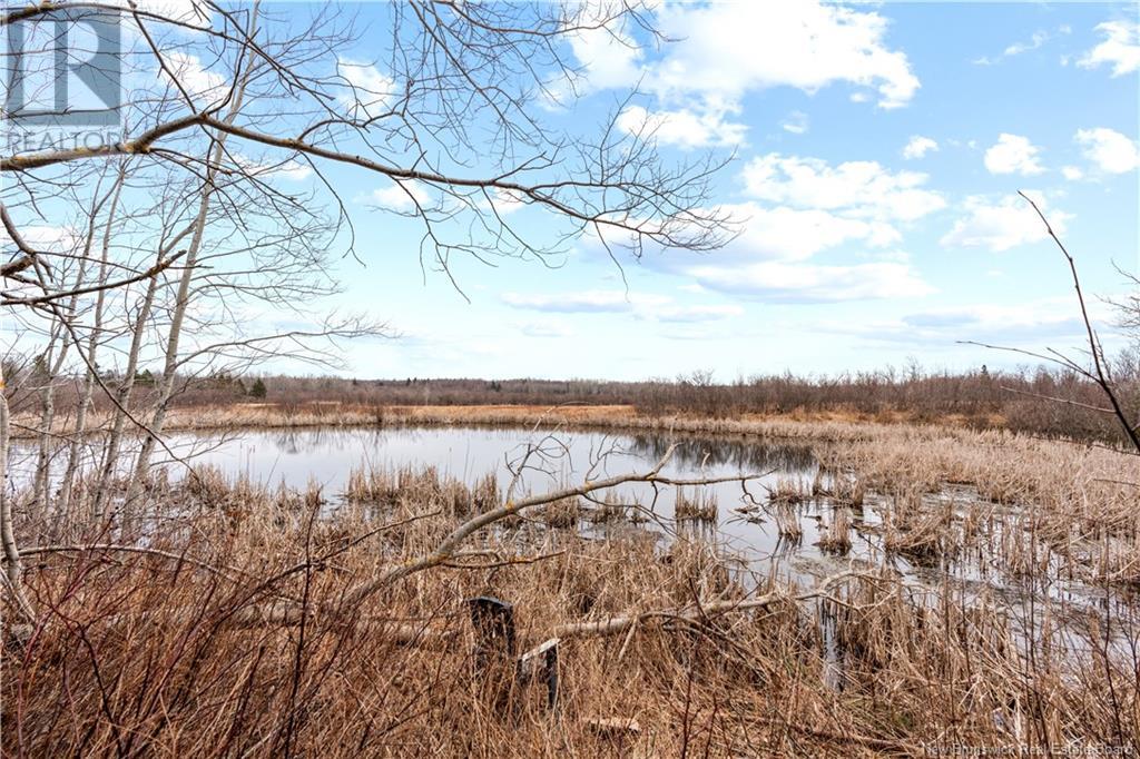 5868 Route 15, Shemogue, New Brunswick  E4N 2P8 - Photo 41 - NB115608