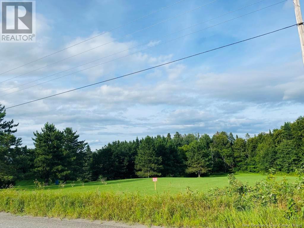 Price Road, Dsl De Drummond/dsl Of Drummond, New Brunswick  E3Y 2B8 - Photo 2 - NB116539