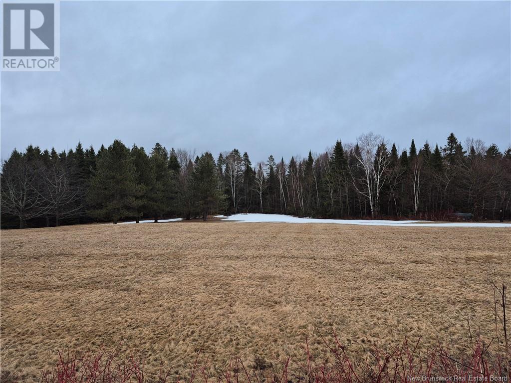 Price Road, Dsl De Drummond/dsl Of Drummond, New Brunswick  E3Y 2B8 - Photo 3 - NB116539