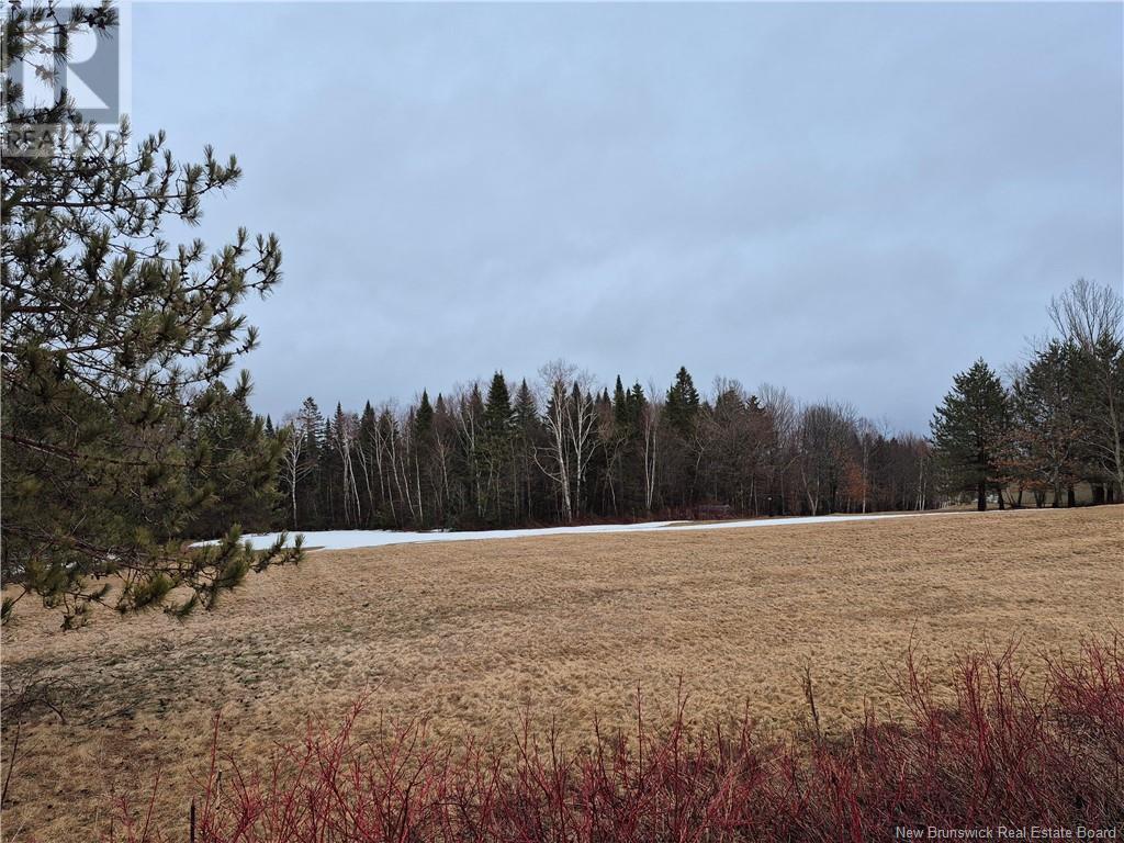 Price Road, Dsl De Drummond/dsl Of Drummond, New Brunswick  E3Y 2B8 - Photo 4 - NB116539
