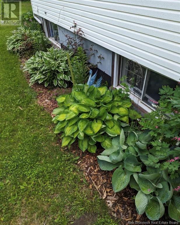 349 Main Street, Chipman, New Brunswick  E4A 2M8 - Photo 48 - NB116447