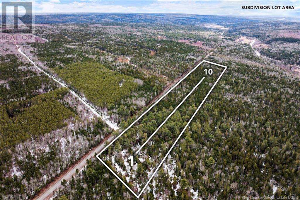 Lot 5 English Settlement Road, Taymouth, New Brunswick  O0O 0O0 - Photo 3 - NB116473