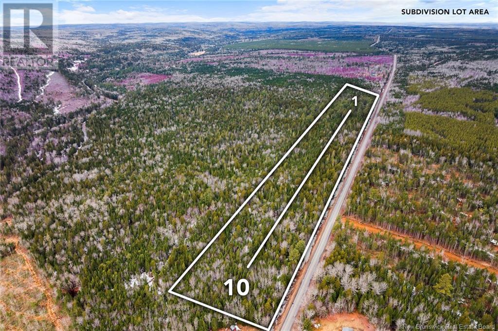 Lot 5 English Settlement Road, Taymouth, New Brunswick  O0O 0O0 - Photo 4 - NB116473