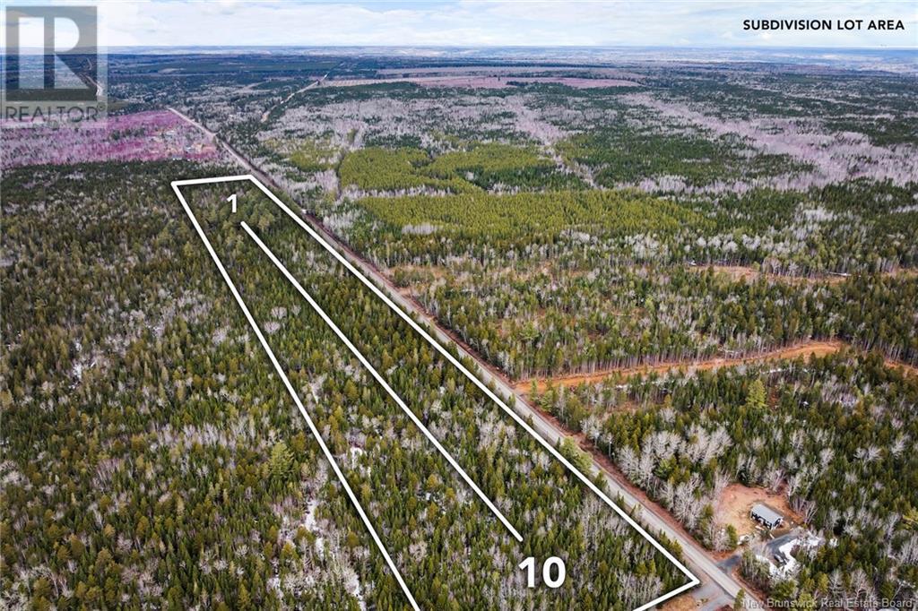 Lot 5 English Settlement Road, Taymouth, New Brunswick  O0O 0O0 - Photo 5 - NB116473