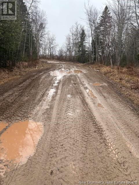 N/a Ch Pellerin Road, Saint-Paul, New Brunswick  E4T 2G2 - Photo 4 - NB116582