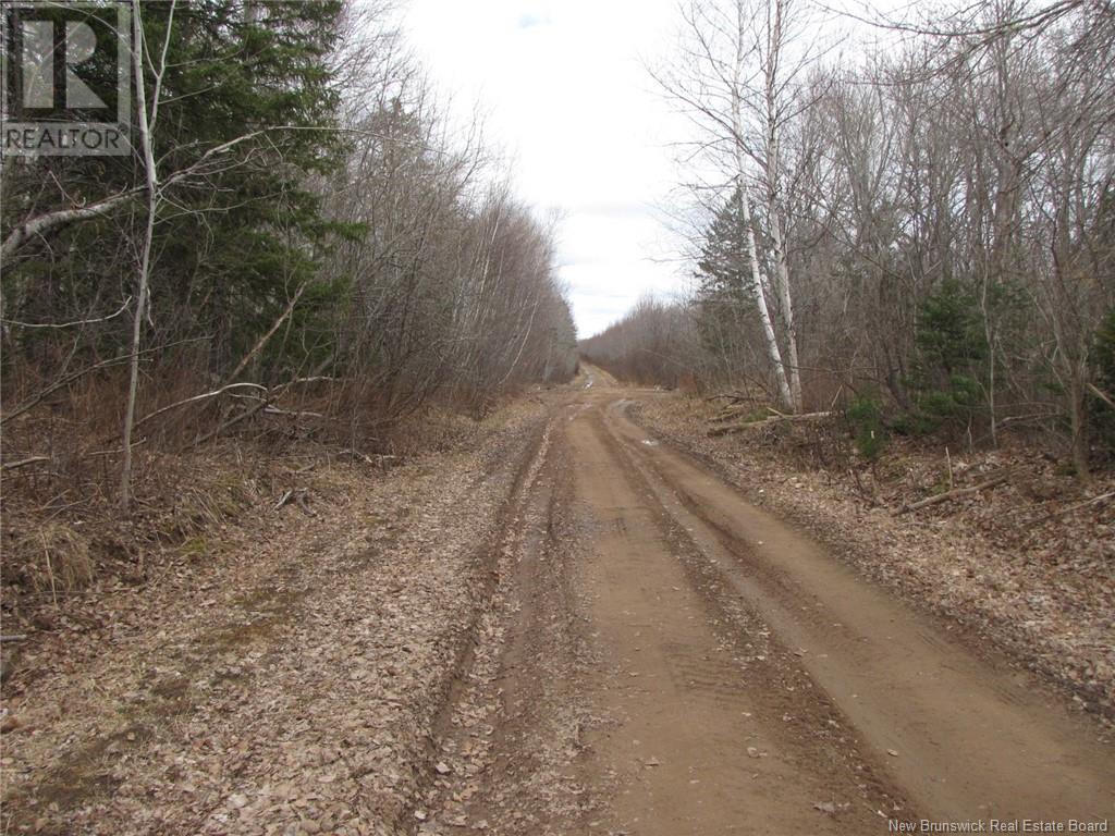 N/a Ch Pellerin Road, Saint-Paul, New Brunswick  E4T 2G2 - Photo 6 - NB116582