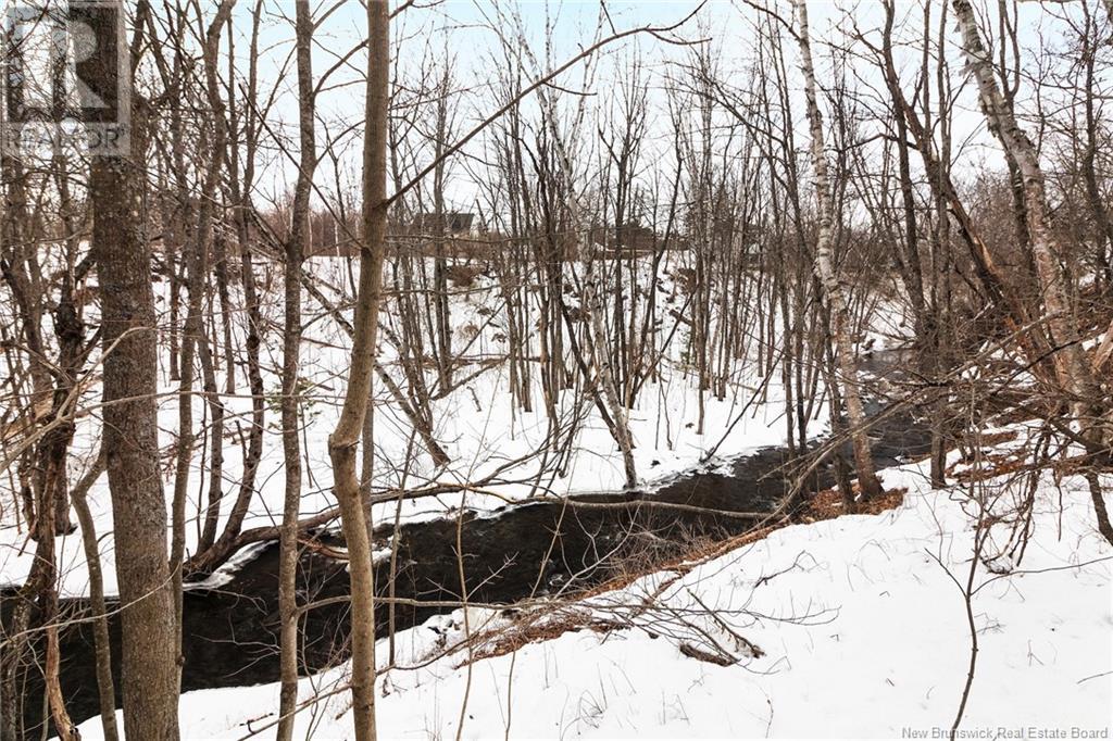 26 Brunswick Street, Minto, New Brunswick  E4B 3M8 - Photo 42 - NB116555