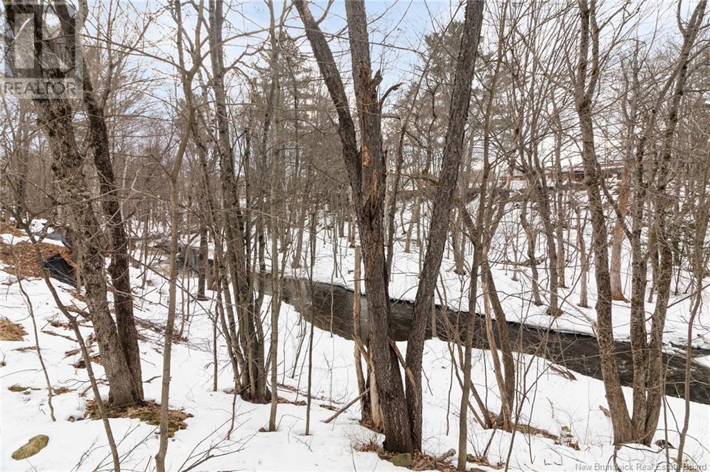 26 Brunswick Street, Minto, New Brunswick  E4B 3M8 - Photo 44 - NB116555