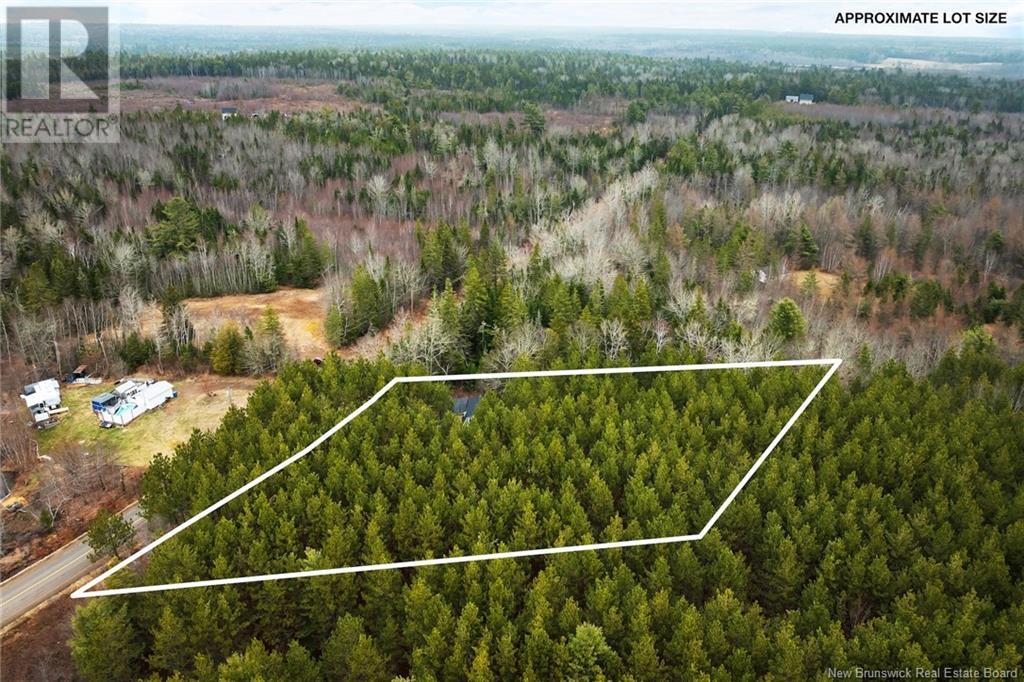 1723 Lakeview Road, Cambridge-Narrows, New Brunswick  E4C 1M5 - Photo 44 - NB116727