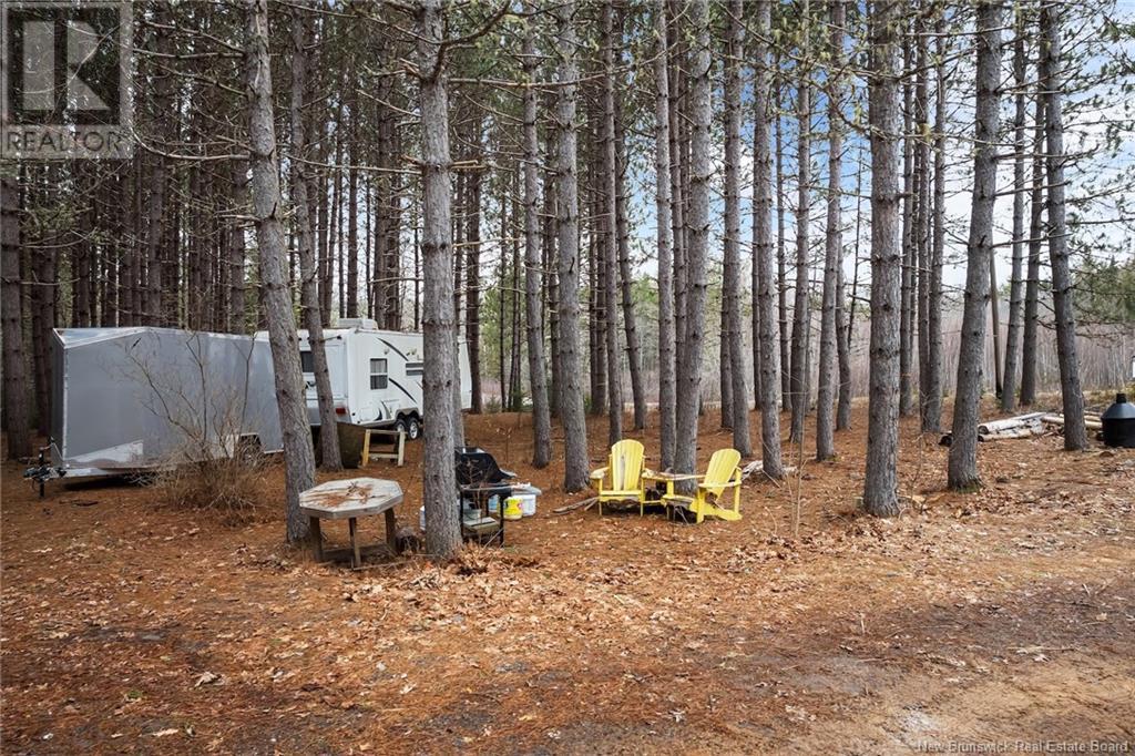 1723 Lakeview Road, Cambridge-Narrows, New Brunswick  E4C 1M5 - Photo 6 - NB116727