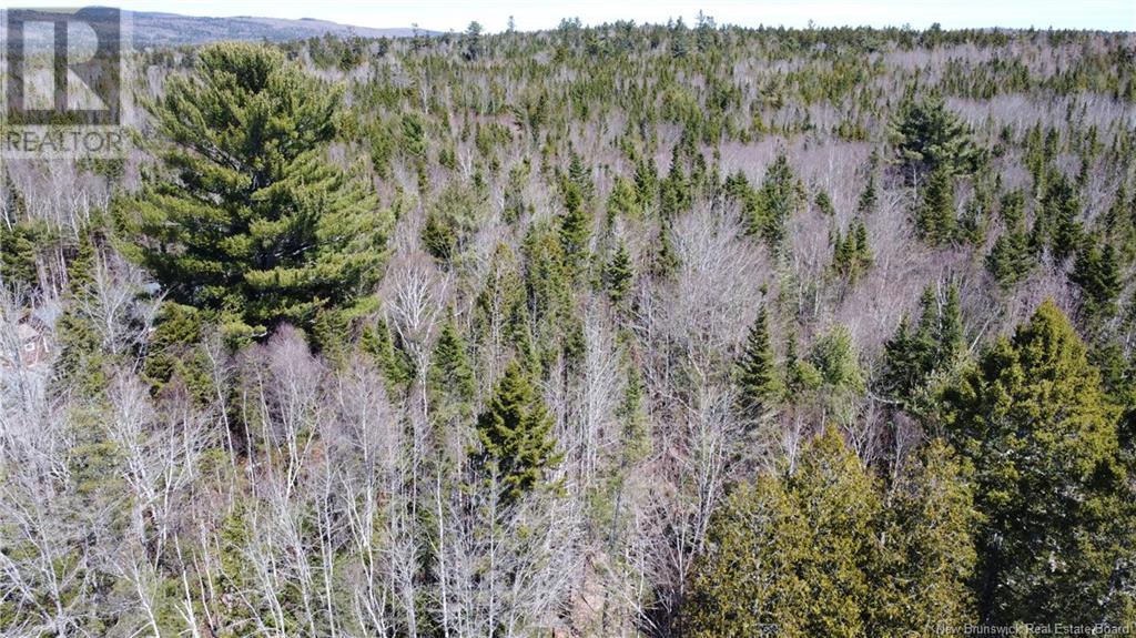 0 Campbell Road, Nerepis, New Brunswick  E5K 3W2 - Photo 14 - NB116751