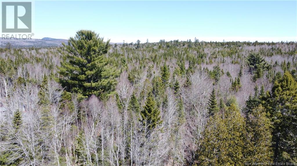0 Campbell Road, Nerepis, New Brunswick  E5K 3W2 - Photo 15 - NB116751