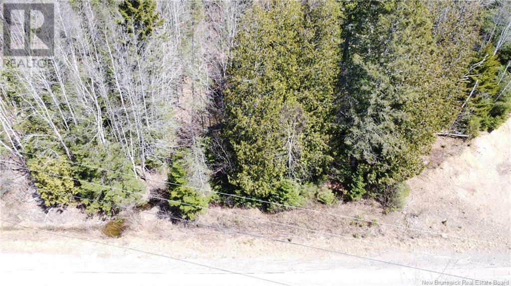 0 Campbell Road, Nerepis, New Brunswick  E5K 3W2 - Photo 16 - NB116751