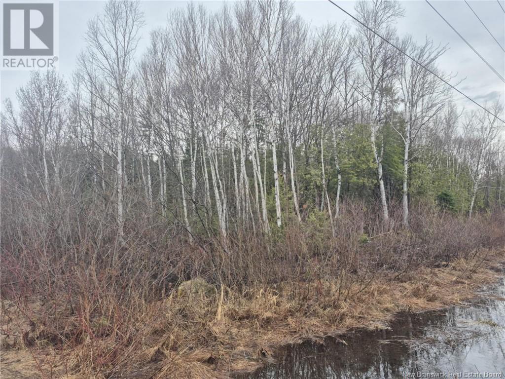 2 Acres Ch Nicholas Denys, Nicholas Denys, New Brunswick  E8K 3C3 - Photo 2 - NB116687