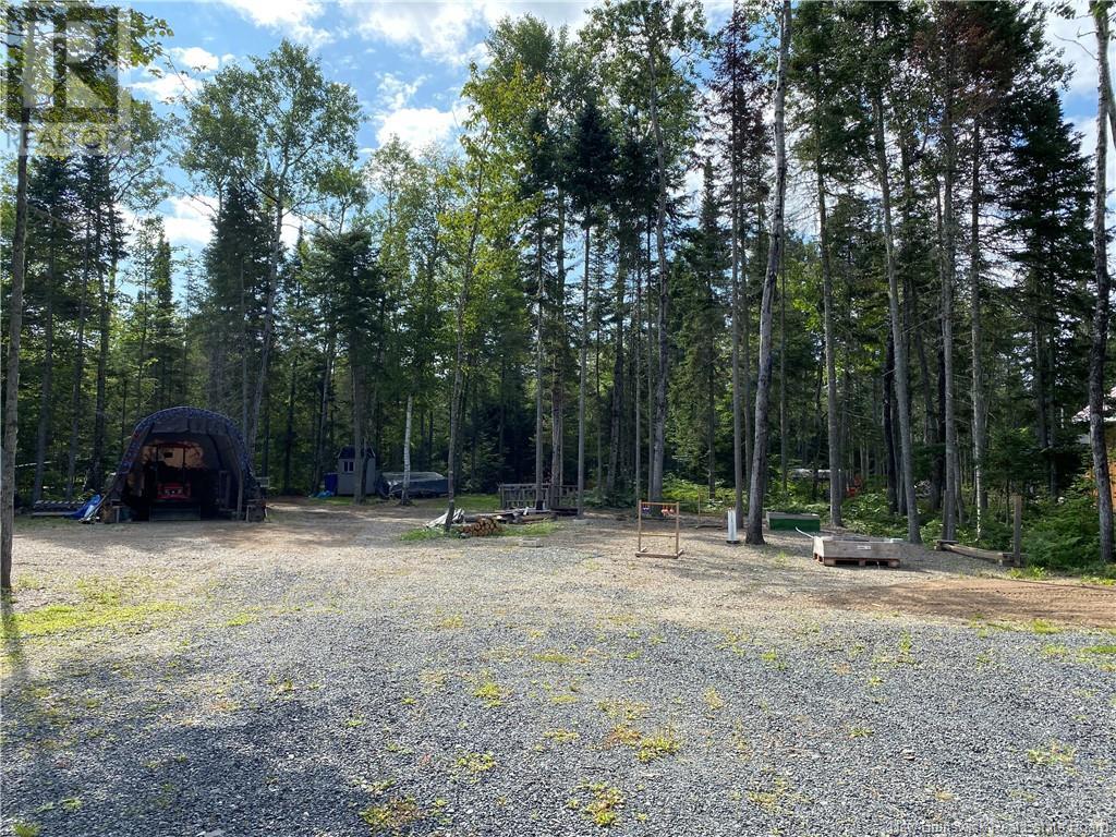 390 Theriault Road, Middle River, New Brunswick  E2A 6Y8 - Photo 29 - NB116813