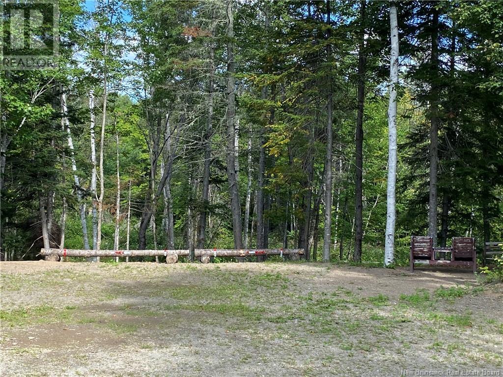 390 Theriault Road, Middle River, New Brunswick  E2A 6Y8 - Photo 35 - NB116813