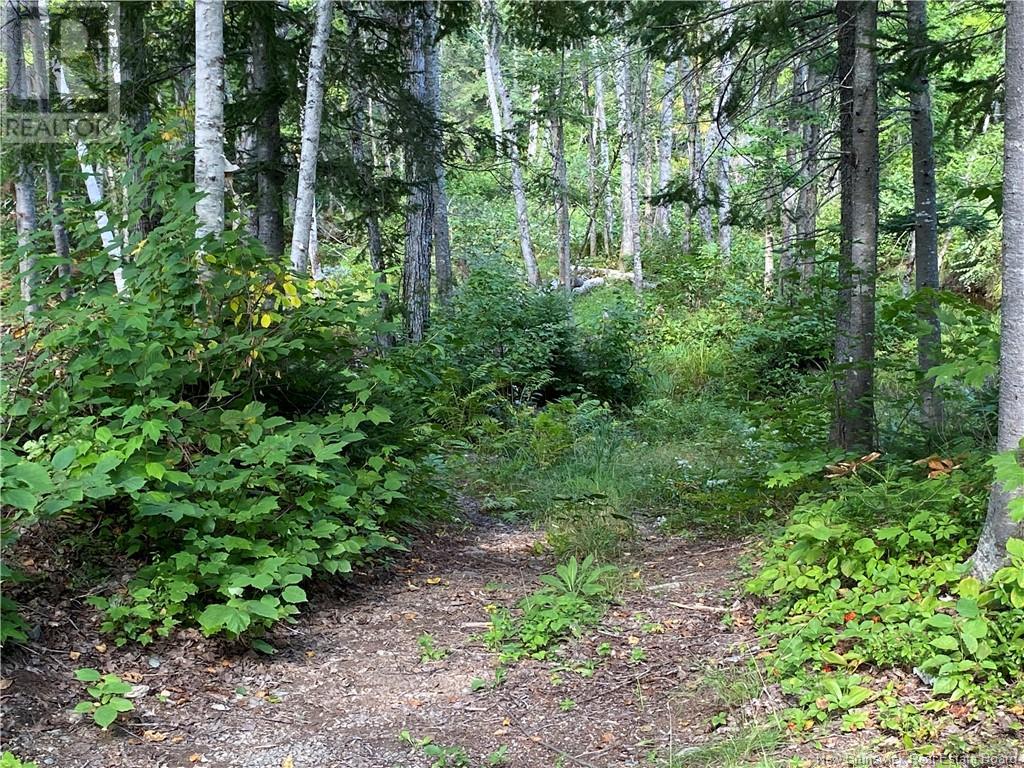 390 Theriault Road, Middle River, New Brunswick  E2A 6Y8 - Photo 36 - NB116813