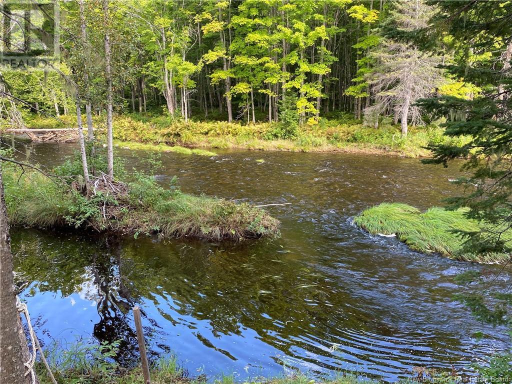 390 Theriault Road, Middle River, New Brunswick  E2A 6Y8 - Photo 38 - NB116813