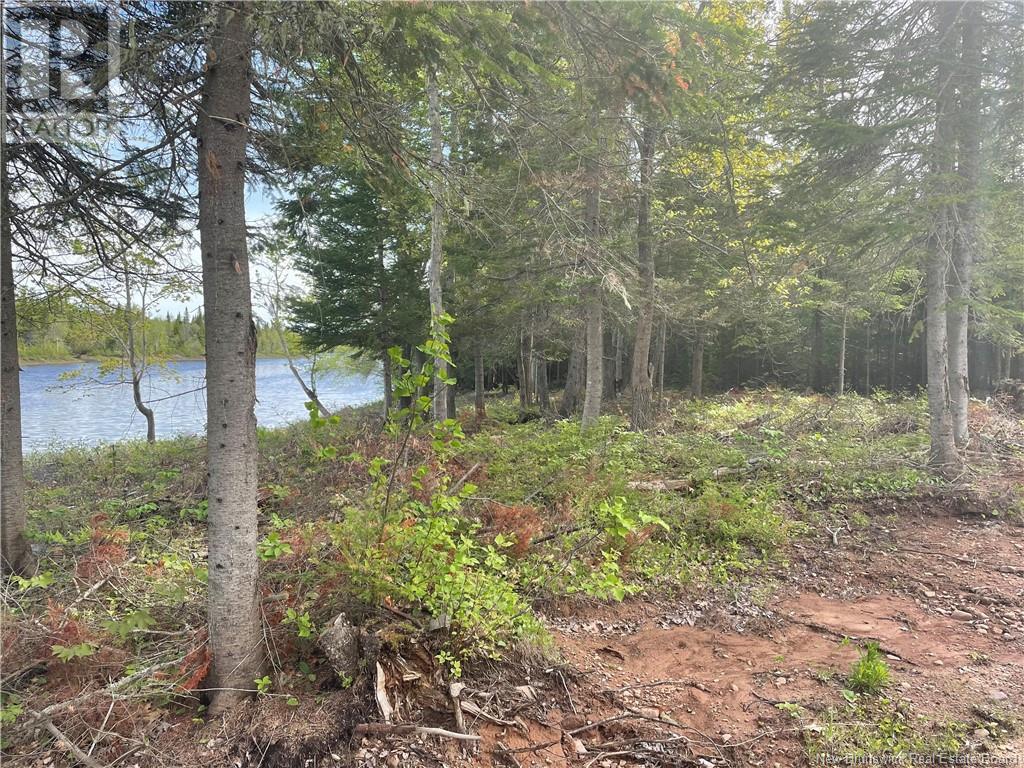 Wegesegum Road, Long Creek, New Brunswick  E4A 3G1 - Photo 4 - NB116875