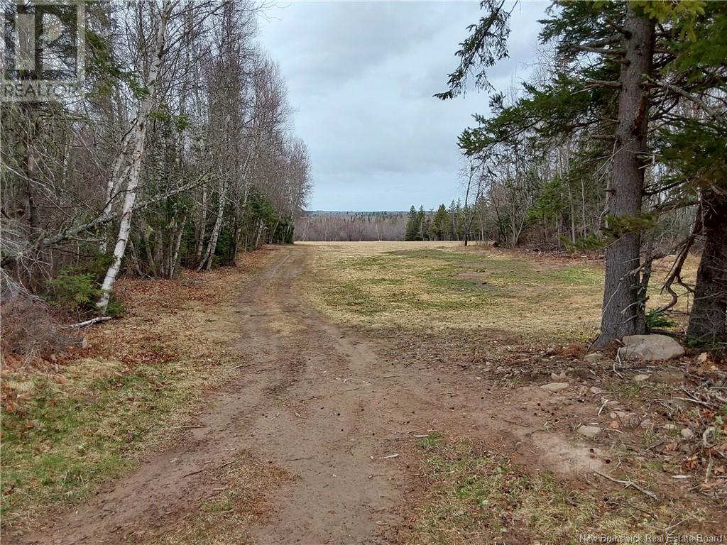 870 Cape Breton Road, Saint-Philippe, New Brunswick  E1H 1V4 - Photo 49 - NB116866