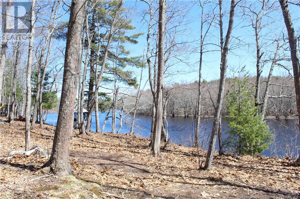 100 715 Route, Coles Island, New Brunswick  E4C 2T1 - Photo 10 - NB116820