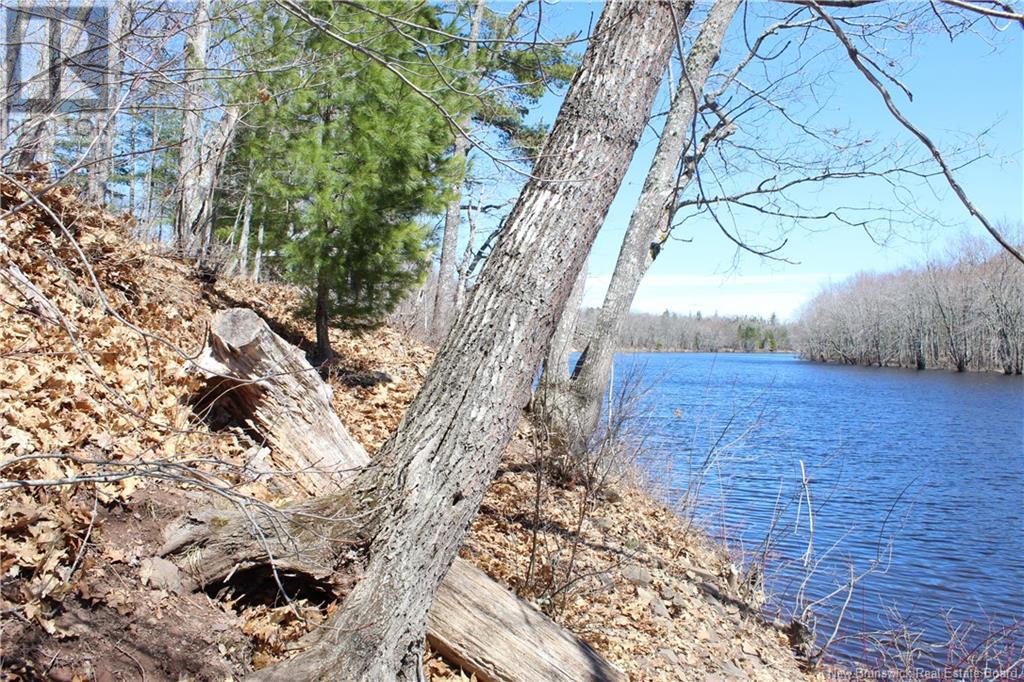 100 715 Route, Coles Island, New Brunswick  E4C 2T1 - Photo 17 - NB116820