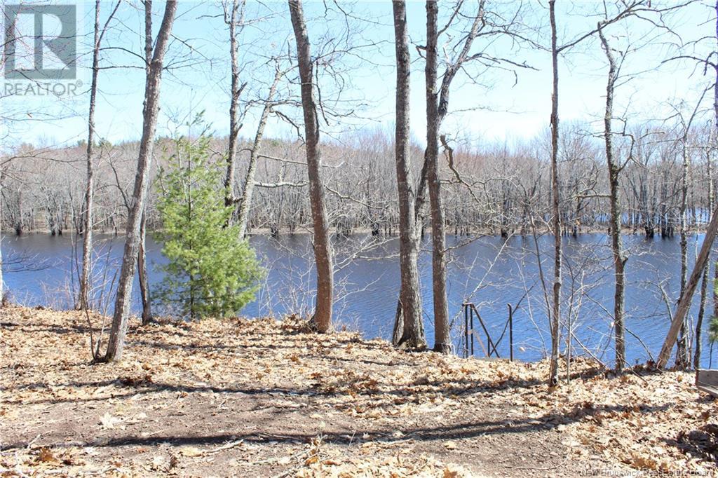 100 715 Route, Coles Island, New Brunswick  E4C 2T1 - Photo 18 - NB116820