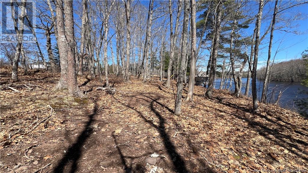 100 715 Route, Coles Island, New Brunswick  E4C 2T1 - Photo 20 - NB116820