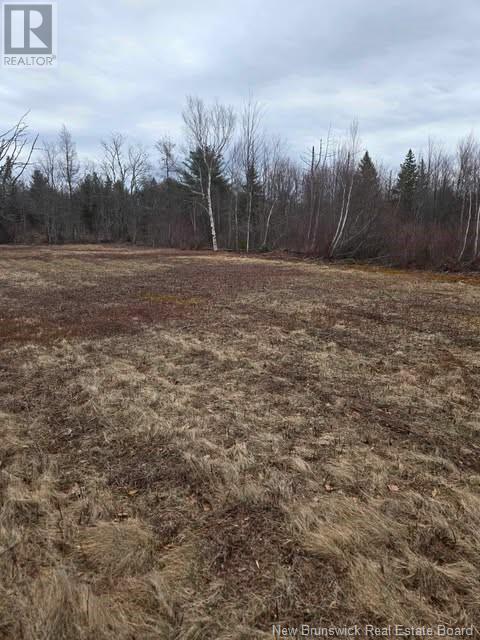 Lot Cumberland Bay South Road, Cumberland Bay, New Brunswick  E4A 2Z3 - Photo 8 - NB116975