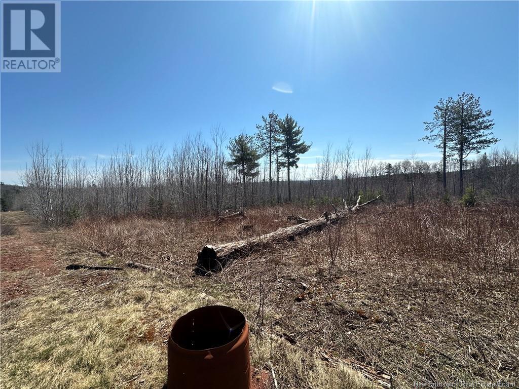 Lewiston Road, Cornhill, New Brunswick  E4Z 1B2 - Photo 5 - NB116923