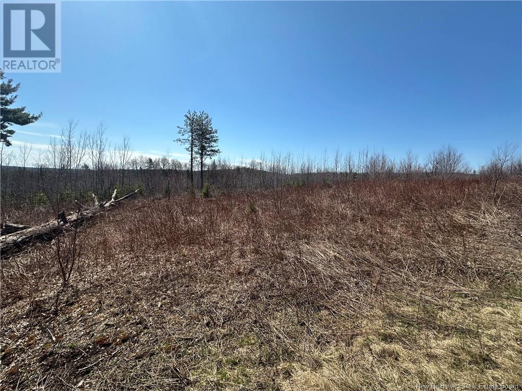 Lewiston Road, Cornhill, New Brunswick  E4Z 1B2 - Photo 6 - NB116923
