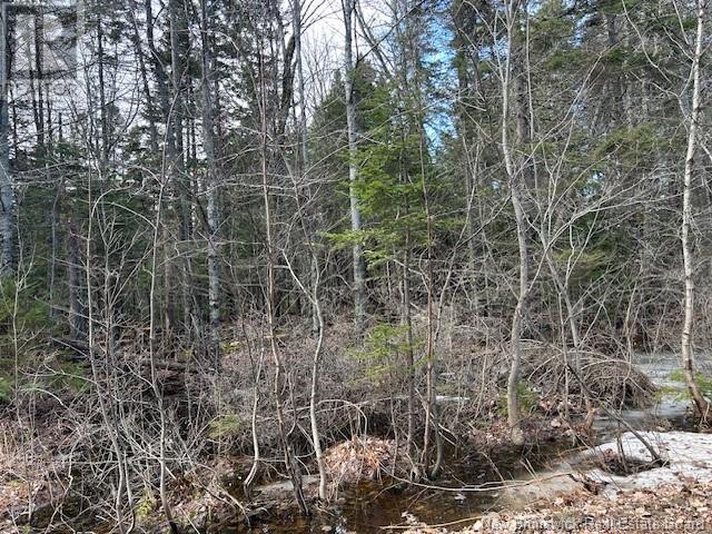 45 Ferry Road, Jardineville, New Brunswick  E4W 2H4 - Photo 20 - NB116959