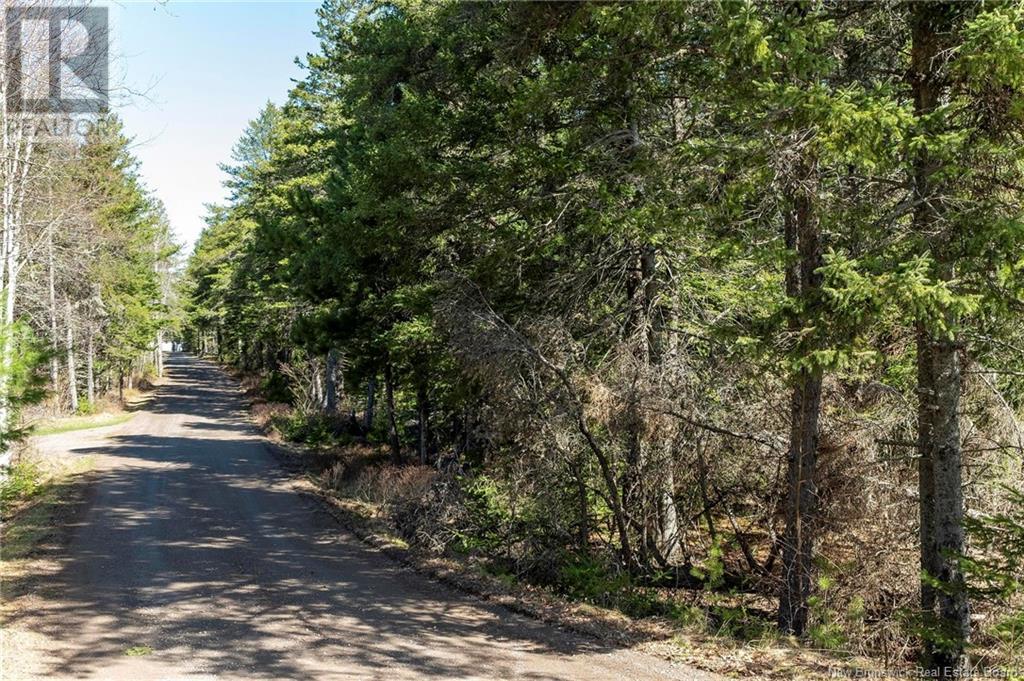 45 Ferry Road, Jardineville, New Brunswick  E4W 2H4 - Photo 23 - NB116959