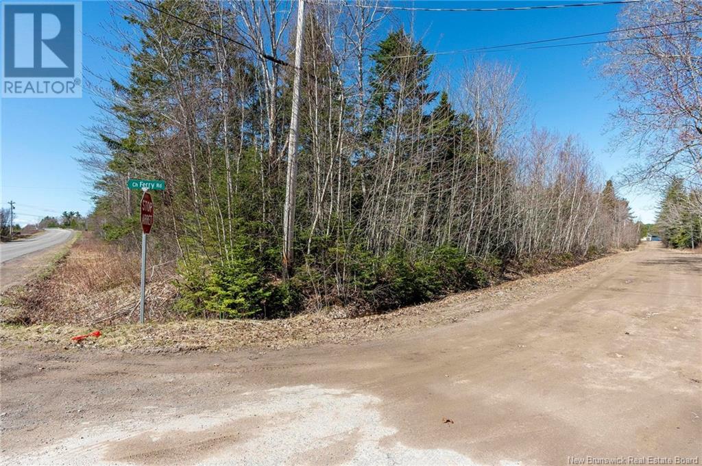45 Ferry Road, Jardineville, New Brunswick  E4W 2H4 - Photo 26 - NB116959