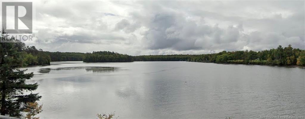 Large Waterfront Lot Route 510, Browns Yard, New Brunswick  E4T 4X2 - Photo 17 - NB117048
