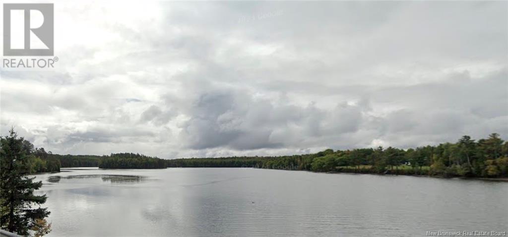 Large Waterfront Lot Route 510, Browns Yard, New Brunswick  E4T 4X2 - Photo 18 - NB117048
